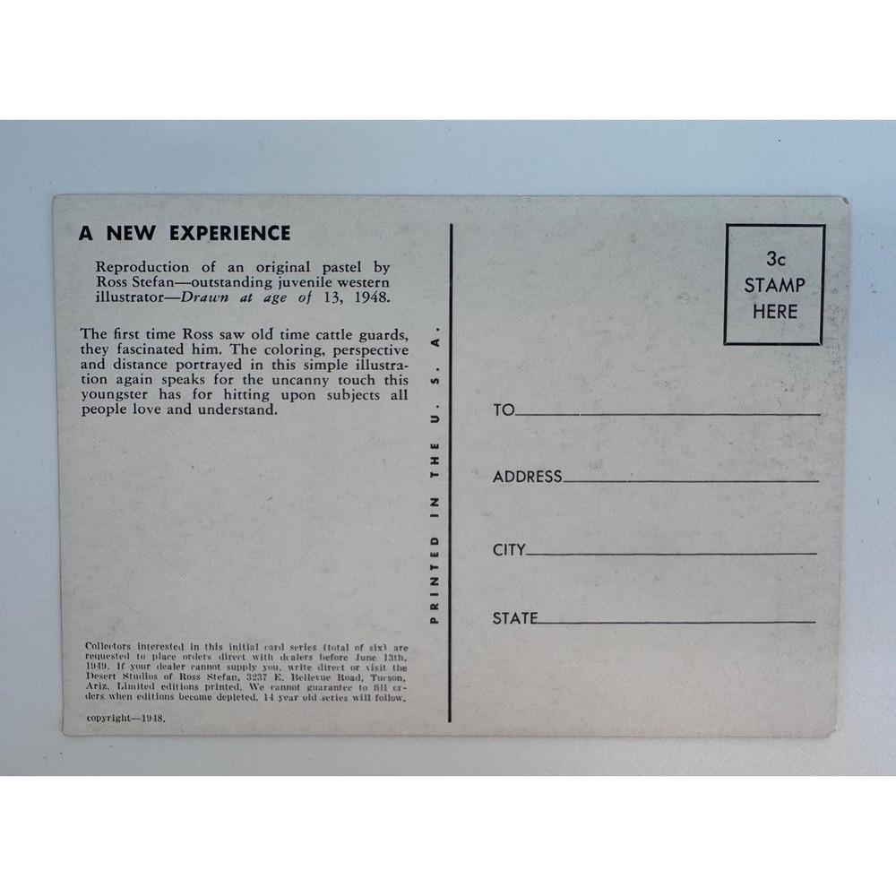 Lot 3 Ross Stefan 1948 Uncirculated Postcards A New Experience Good Scout Attack - Picture 15 of 15